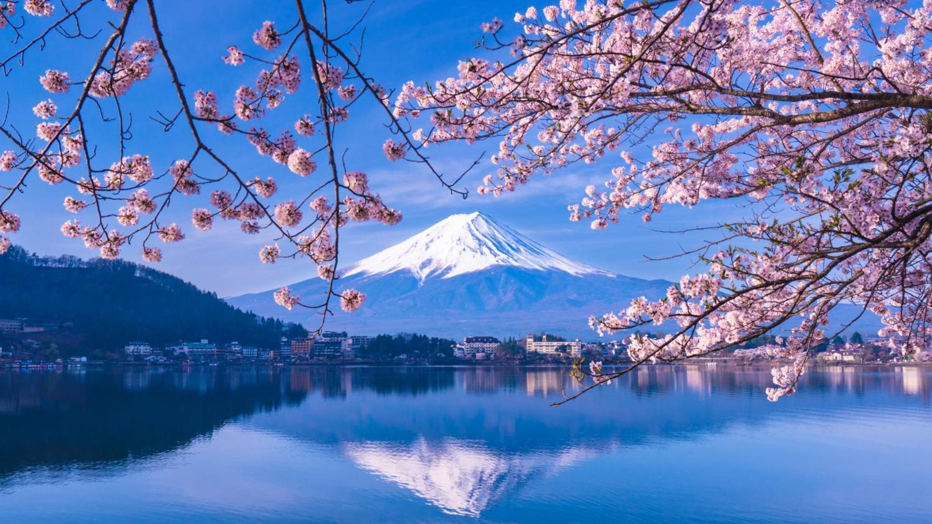 Mt Fuji Glamping Tourist Villa Kawaguchiko Фудзикавагутико Экстерьер фото