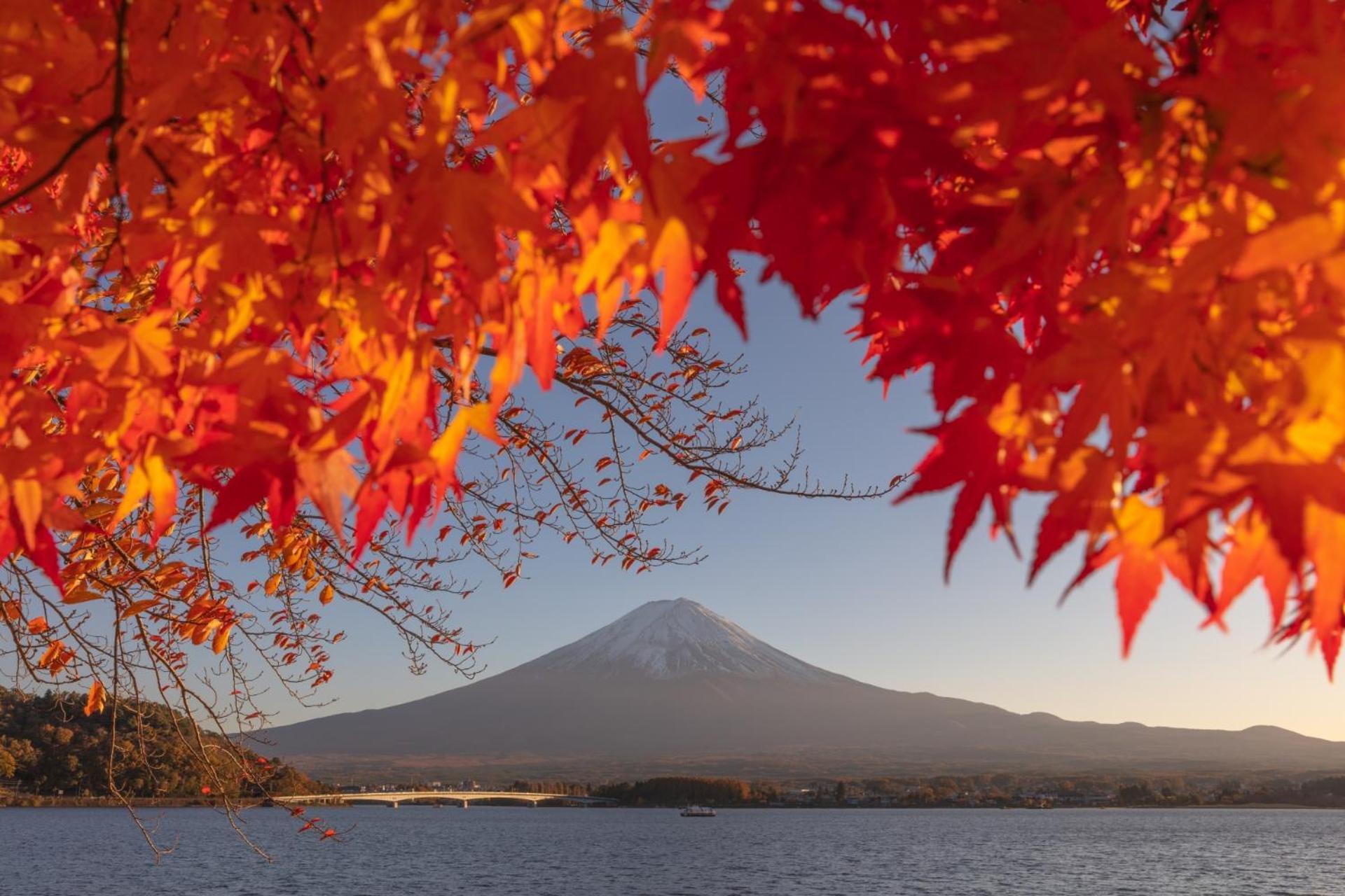 Mt Fuji Glamping Tourist Villa Kawaguchiko Фудзикавагутико Экстерьер фото