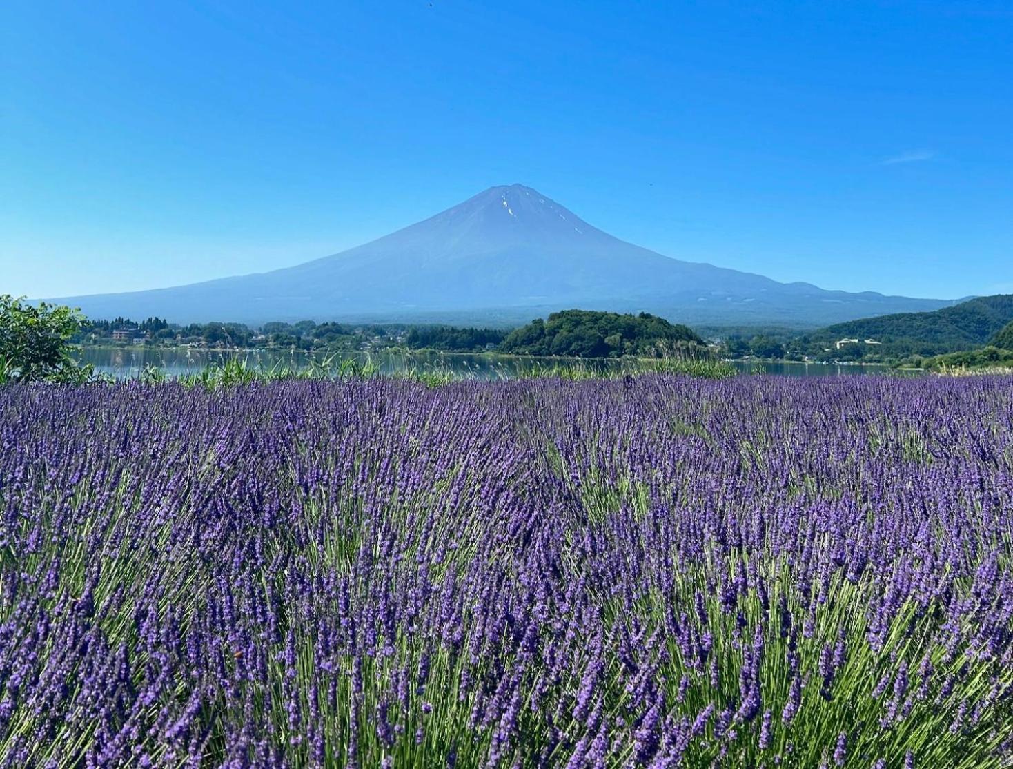 Mt Fuji Glamping Tourist Villa Kawaguchiko Фудзикавагутико Экстерьер фото